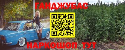 эйфоретик Малгобек
